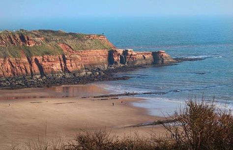 Haven Holidays - Devon Cliffs, Exmouth, Devon Devon Cliffs, Exmouth Devon, Woolacombe Devon, Topsham Devon, Devon Beaches, Exeter Devon, Two Rivers, Devon Rex, 2024 Vision