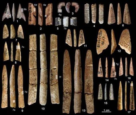 Paleolithic Tools, Bone Tools, Functional Analysis, Irish Rings, Cave In, Ancient Origins, South China, Stone Age, Fishing Tools