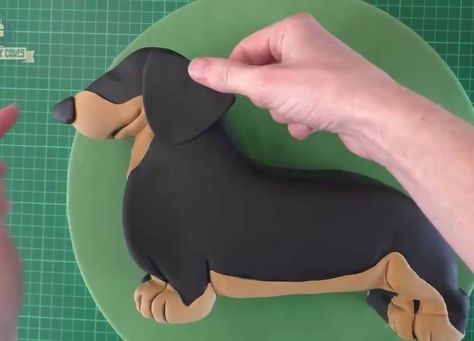 Sausage Dog Cake Dachshund, Dachshund Cake Ideas, Wiener Dog Cake, Dachshund Birthday Cake, Sausage Dog Cake, Neutral Cakes, Cake For Princess, Dachshund Cake, Country Cakes