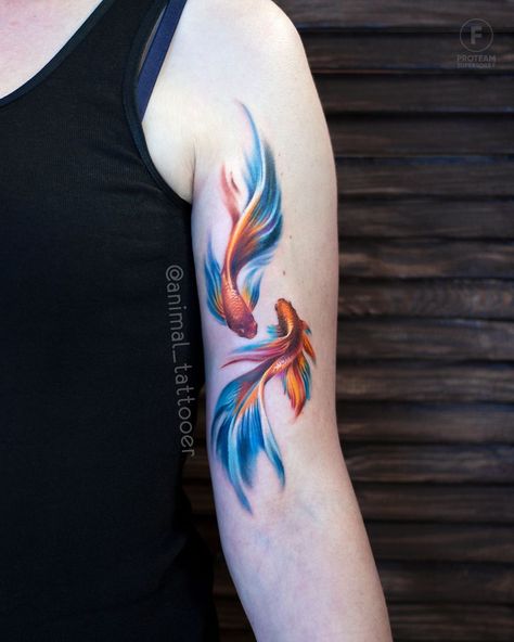 Russian Tattoo Artist Makes Amazing Realistic Tattoos Animal Betta Tattoo, Female Sleeve Tattoo, Betta Fish Tattoo, Sleeve Tattoo Designs, Pisces Tattoo Designs, Artsy Tattoos, Koi Tattoo Design, Russian Tattoo, Pisces Tattoos