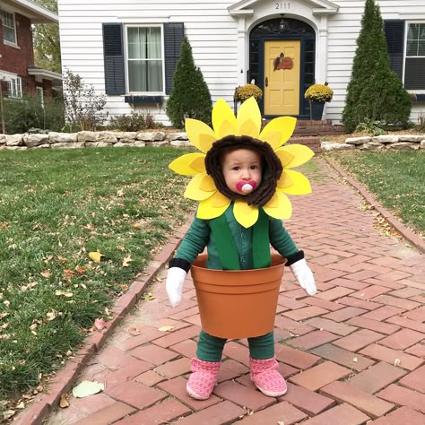 Diy Baby Flower Costume, Sunflower Costume For Women, Baby Flower Costume Diy, Sunflower Costume Diy, Sunflower Halloween Costume Diy, Infant Flower Costume, Sunflower Halloween Costume, Sunflower Fairy Costume, Flower Costume Diy