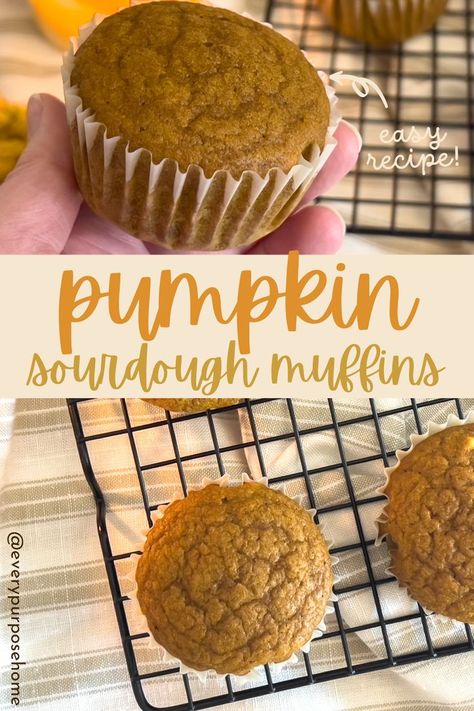 pumpkin sourdough muffins Sourdough Pumpkin Muffins, Pumpkin Muffins With Chocolate Chips, Sourdough Discard Pumpkin, Pumpkin Sourdough, Pumpkin Muffins Recipe, Muffins With Chocolate Chips, Sourdough Pumpkin, Pumpkin Bagels, Muffins With Chocolate