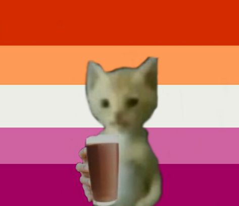 Choco Milk, Lgbtq Stuff, Lesbian Flag, Gay Memes, Pride Flags, Reaction Pics, Profile Pictures, A Cat, A Coffee