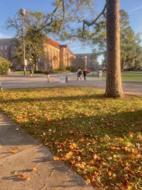 Walking to class. Walking To Class Aesthetic, Walking To School Aesthetic, Walking Downtown Aesthetic, Autumn Dog Walk Aesthetic, Walking To School, Autumn 23, Walk To School, Romanticizing School, Fall Days