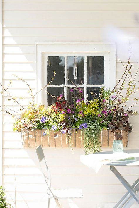 Faux Plants Window Boxes, Under Window Shelf, Fall Landscape Ideas, Window Box Decor, Window Flower Boxes, Fall Window Boxes, Balcony Flower Box, House Flip, Front Stoop