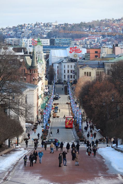 Oslo Winter, Landscape Studies, Scandinavian Life, Norway City, City Life Pictures, Beautiful Norway, Norway Travel, Oslo Norway, Arctic Circle