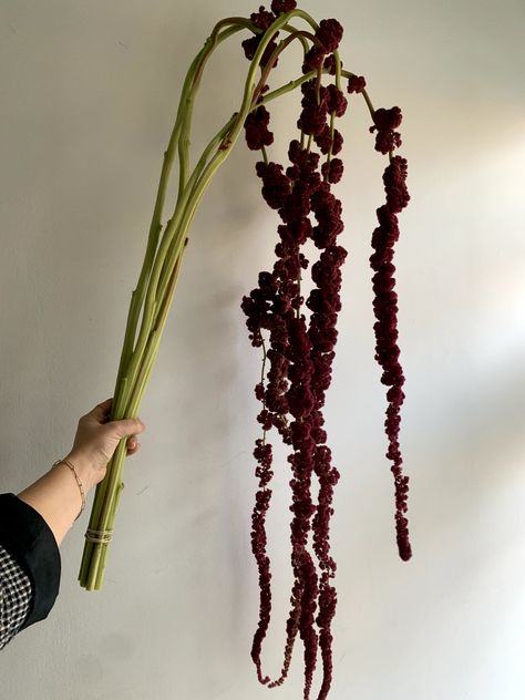 Hanging Amaranthus Arrangement, Red And Green Floral Arrangements, Dark Fall Flowers, Dark Wedding Bouquet, Dried Amaranthus, Hanging Bouquet, Dark Bouquet, Goth Flowers, Grunge Flowers