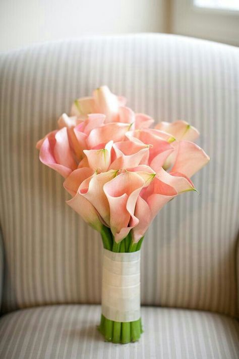 Elegant Wedding Bouquet Of: Peach Calla Lilies Calla Lily Wedding Flowers, Pink Calla Lilies, Calla Lily Bouquet Wedding, Calla Lily Wedding, Calla Lily Bouquet, Summer Wedding Bouquets, Lily Wedding, Beautiful Wedding Flowers, Lily Bouquet