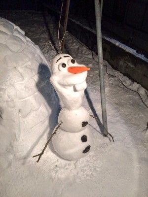 Olaf Snowman Real, Olaf Snowman, Snowmen Pictures, Funny Snowman, Snow Activities, Snow Sculptures, Make A Snowman, Snow Art, Snow Fun