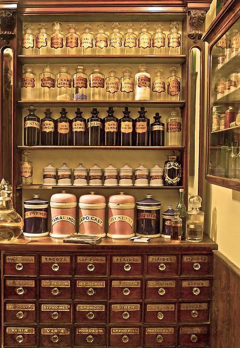 Herb Apothecary, Herbalist Shop, Apothecary Decor, Natural Medicine Cabinet, Antique Apothecary, Victorian Bedroom, Apothecary Cabinet, Kitchen Herbs, Spice Shop