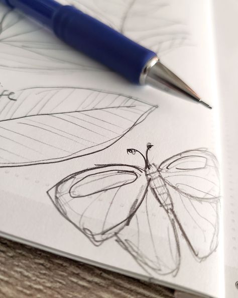 I forget how wonderful the sketching phase is: it's scribbly and messy and there's no perfection. Everything is exploration. 🦋 . . . #sketchbook #drawing #illustratorsofig #illustrationart #butterfly Butterfly Phases Drawing, Biro Butterflies, Butterfly Hatching, Butterfly Metamorphosis Illustration, Trippy Moth Drawing, Copper House, Sketchbook Drawing, Sketch Book, Illustration Art