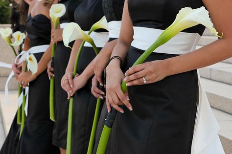 My "bridesmaids" flowers. Calla Lily Single Bouquet, Long Stemmed Calla Lily Bouquet, Single Lily Bridesmaid Bouquet, Single Calla Lily Bridesmaid, Long Stem Bridesmaid Flowers, One Flower Bridesmaid, Calla Lily Bouquet Wedding The Bride, Single Flower Bouquet Bridesmaid Calla Lily, Bouquet Of Calla Lilies