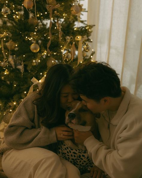 home for the holidays 🎄🐶 📸: @photosbyjannajo 🏷️ cozy holiday at home photoshoot, christmas photos, christmas photoshoot, cozy holiday vibes, homey photoshoot homey couple shoot, holiday family photoshoot, dog photos, christmas tree, warm lights, san diego photographer, california, socal At Home Christmas Tree Photoshoot, Couple Christmas Pictures With Dog Pajamas, Cozy Indoor Christmas Photos, Casual Christmas Couple Photos, Family Christmas Cards With Dogs, Couple Photos Christmas Tree, Couple Home Christmas Photos, Christmas Photos Boyfriend, Couple In Front Of Christmas Tree