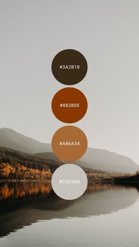 Tawny, terracotta, and toasted rye are tantalizing against cool titanium. Try it in the kitchen, master / primary bedroom, home office, or condo / bachelor apartment. #colorpalette #colourpalette #autumn #fall #brown #orange #burntorange #modern Colors That Complement Burnt Orange, Burnt Orange And Black Color Palette, Burnt Orange Living Room Color Combinations Colour Palettes, Burnt Orange Color Palette Bedrooms, Orange Bedroom Color Schemes, Terracotta Grey Living Room, Orange Brown Cream Color Palette, Burnt Orange Pallet, Orange And Brown Bedroom Ideas