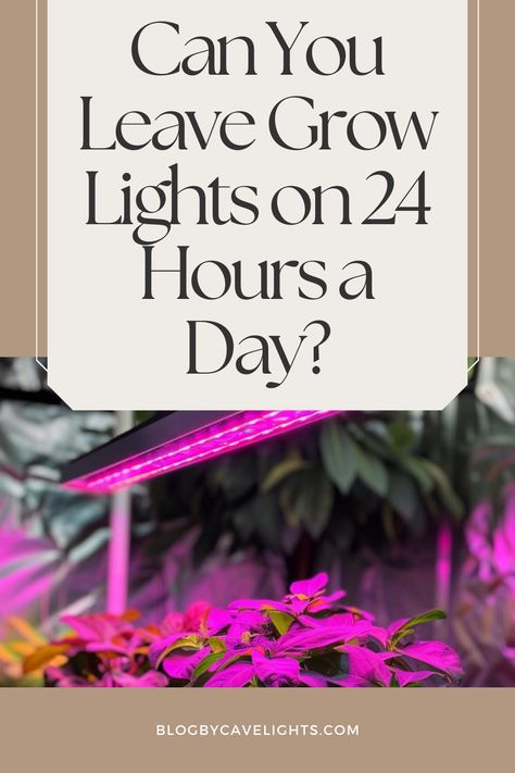 🌟 Light up your indoor sanctuary with grow lights! Uncover whether leaving grow lights on 24/7 is right for your plants. Explore our guide for indoor garden lighting inspiration and effective plant lighting setups. Click for a greener, brighter space! 💡🏡 Plant Lights Indoor Setup, Grow Lights For Houseplants, Outdoor Kitchen Lighting, Indoor Grow Lights, Plant Lights, Grow Room, Growing Plants Indoors, Lighting Setups, Grow Light