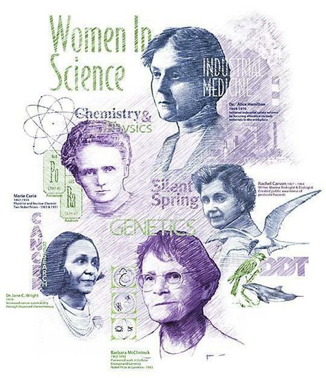 Female Scientist, Women In Science, Women Science, Stem Classroom, Women Scientists, Marie Curie, Science Humor, Science Biology, Science Classroom