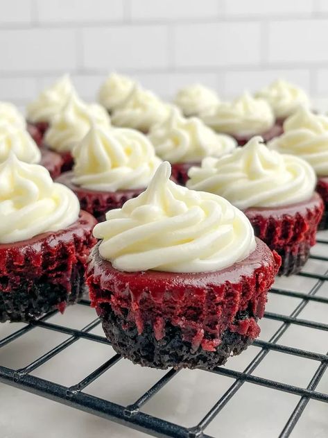 Red Velvet Cheesecake Bites, White Chocolate Cream Cheese Frosting, Mini Cheesecake Bites, White Chocolate Cream, Cocoa Powder Cookies, Cheesecake Bites Recipe, Chocolate Cream Cheese Frosting, Velvet Cheesecake, Gingersnap Crust