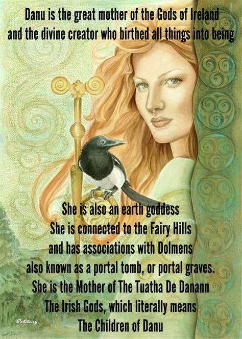 Goddess Danu Celtic, Danu Celtic Goddess, Maeve Goddess, Danu Goddess, Celtic Gods And Goddesses, Celtic Goddesses, Celtic Paganism, Celtic Deities, Irish Goddess