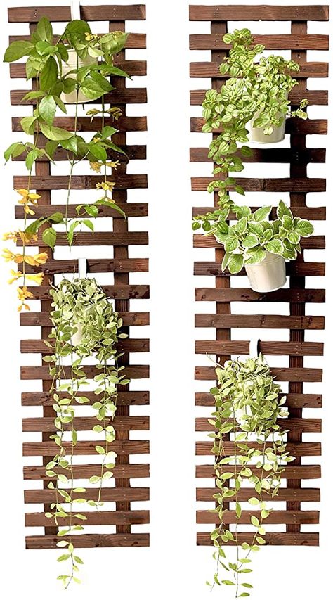 Amazon.com: ShopLaLa Wall Plant Holder - Hanging planters for Indoor and Outdoor: Kitchen & Dining Wall Planters Outdoor Hanging Plants, Wall Mounted Flower Pots Outdoor, Accent Wall Plants, Outdoor Shelves For Plants, Balcony Plant Wall, Wall Flower Holder, Plant Shelving, Wall Mounted Plant Holder, Industrial Planter