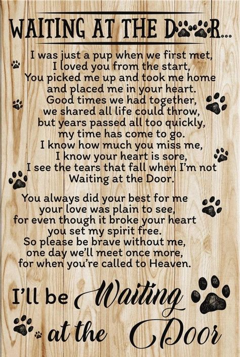 Christian Facts, Paw Wallpaper, I'll Be Waiting, Slow Roasted Italian, Dog Poems, Dog Sayings, Pawprint Tattoo, Pet Quotes, The Slow Roasted Italian