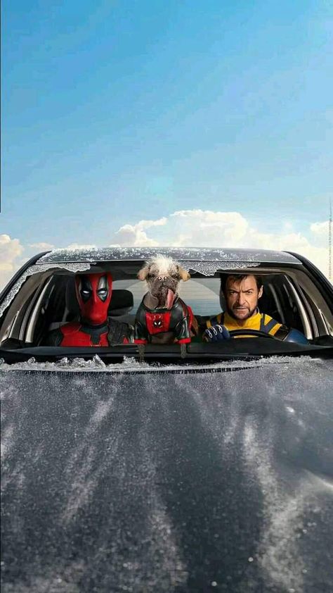 Deadpool Car, Wolverine Film, Wolverine Poster, Wolverine Movie, Deadpool Funny, X-men, Deadpool And Wolverine, Adventure Time Wallpaper, Deadpool And Spiderman