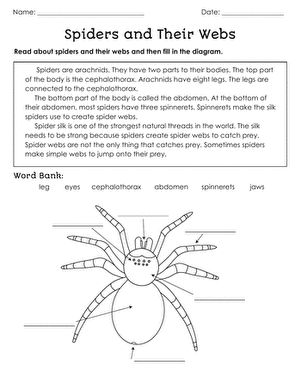 This fascinating science worksheet is a great resource to help students learn about the parts of a spider and the purpose of their webs. Geared toward second graders, this worksheet has young scientists read about spiders and their webs and then demonstrate their nonfiction comprehension by filling in the diagram with the correct anatomical terms. In addition to learning how to identify and differentiate between the spider's jaw, abdomen, and spinnerets, young learners will also gain valuable pr Parts Of A Spider Free Printable, Spiders Kindergarten Science, Summer School Art Projects, Spiders Unit Study, Spiders 1st Grade, Spider Reading Comprehension, Parts Of A Spider, Spider Facts For Kids, Spider Lessons