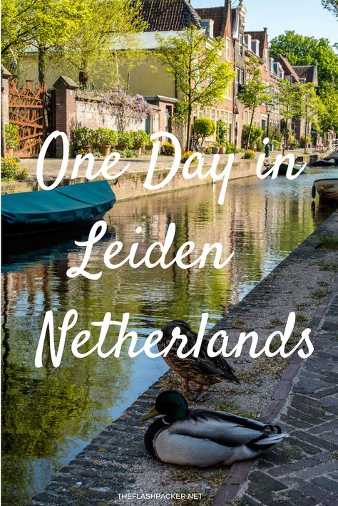 Traveling Goals, Holland Travel, Leiden Netherlands, Amsterdam Vacation, Travel Netherlands, Travel Holland, Dates Ideas, Day Trips From Amsterdam, Pack Up And Go