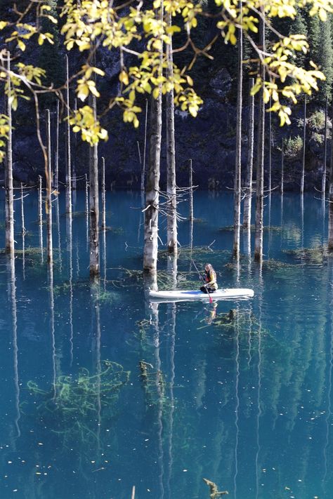 Sunken coniferous forest. Emerald mountain lake. Colours of autumn. Lake Kaindy… Paddle Boarding Pictures, Coniferous Forest, Autumn Lake, Paddle Boards, Paddle Board, Mountain Lake, Standup Paddle, Enchanted Forest, Scenic Views