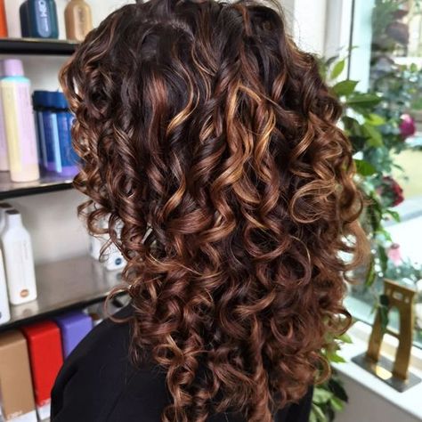 Highlight For Dark Brown Curly Hair, Dark Auburn Lowlights, Curly Hair With Copper Highlights, Brown Trendy Hair, Dark Curly Hair Highlights, Highlights Brown Curly Hair, Dark Brown Hair With Highlights Curly, Curly Hair Colour Ideas, Copper Highlights On Brown Hair Curly