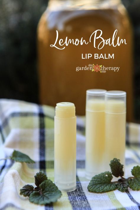 Lemon Balm Lip Balm for Cold Sores - Garden Therapy Lemon Balm Recipes, Garden Therapy, Cold Sores, Lip Balm Recipes, Natural Beauty Recipes, Homemade Lip Balm, Diy Lip Balm, Herbal Infusion, Infused Oils