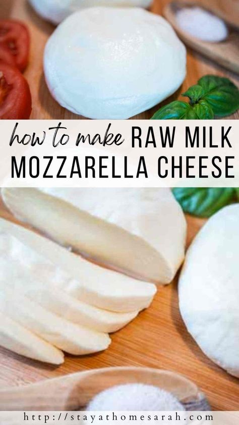 Goat Milk Mozzarella Recipe, Make Mozzarella Cheese, Homemade Mozzarella Cheese, Recipes With Mozzarella Cheese, Mozzerella Cheese, Cheese Recipes Homemade, Homemade Fruit Leather, Fruit Leather Recipe, Pizza Lasagna