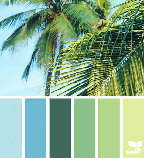 Tropical Hues Tropical Color Palette, Color Scenes, Design Seeds Color Palette, Seeds Color Palette, Design Seed, Beach Color Palettes, Seeds Color, Coloring Inspiration, Beach Color