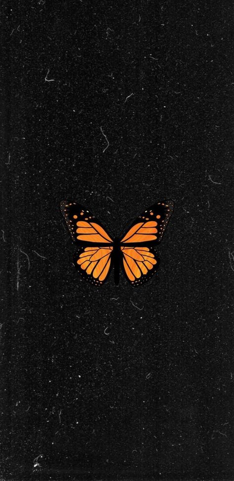 Monarch Butterfly Iphone Wallpaper, Monarch Butterfly Wallpaper Aesthetic, Fall Butterfly Wallpaper, Monarch Butterfly Wallpaper, Monarch Butterfly Aesthetic, Wallpaper Mariposas, Redmi Wallpaper, Wonderful Wallpapers, Nature Iphone Wallpaper