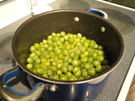 Grapes, In a Pot Green Grape Jelly Recipe, Grape Dessert Recipes, Green Grapes Recipes, Grape Jam Recipe, Homemade Grape Jelly, Gooseberry Jam, Homemade Garden, Sugared Grapes, Grape Jam