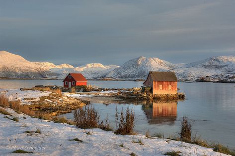 Hillesoy, Sommaroy, Troms, Northern Norway | Beautiful eveni… | Flickr Tromso Norway Winter, Woodnest Norway, Hellesylt Norway, Norway Mountains Winter, Northern Lights Norway Photographs, Northern Norway, Winter Landscapes, Late Autumn, Evening Light