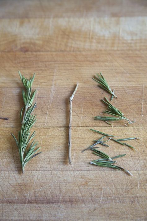 Make Essential Oils, Hair Rosemary, Herb Guide, Basil Tea, Rose Mary, Making Essential Oils, Holistic Health Remedies, How To Make Pesto, Rosemary Leaves