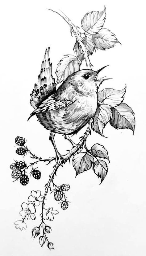 Animal Illustration Art, White Drawing, Wood Burning Art, Pencil Art Drawings, Cross Patterns, Bird Pictures, Bird Drawings, Coloring Book Art, Birds Painting