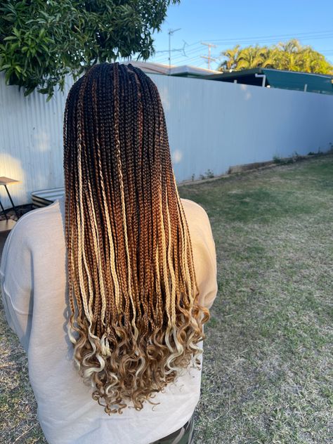 Normal box braids Normal Box Braids, Dark Brown To Light Brown Ombre, Brown Box Braids, Light Brown Ombre, Ombre Box Braids, 4b Hair, Ombre Braid, Hairstyle Inspo, Brown Ombre