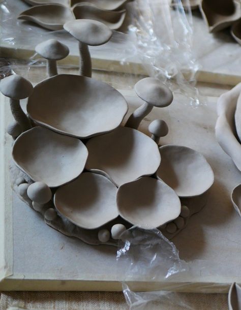 Pottery Mushrooms, Beginner Pottery, Pottery Handbuilding, Hand Built Pottery, Pottery Crafts, Diy Pottery, Ceramics Pottery Art, Pottery Sculpture, Ceramics Projects