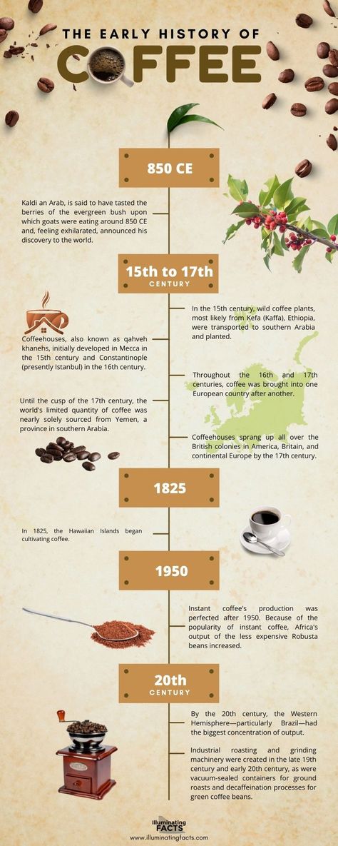 Coffee By the Numbers - Illuminating Facts Coffee Fun Facts, Coffee Information, Wellness Initiatives, History Of Coffee, Coffee Knowledge, Coffee Chart, Cafe Website, Mural Cafe, Man Recipes