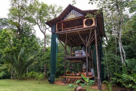 25+ Most Unique Airbnb Rentals Under $400 in 2019 Treehouse Rentals, Jungle Canopy, Houses In Costa Rica, Luxury Tree Houses, Moving To Costa Rica, Building A Treehouse, Swing Bed, Going Off The Grid, Cool Tree Houses