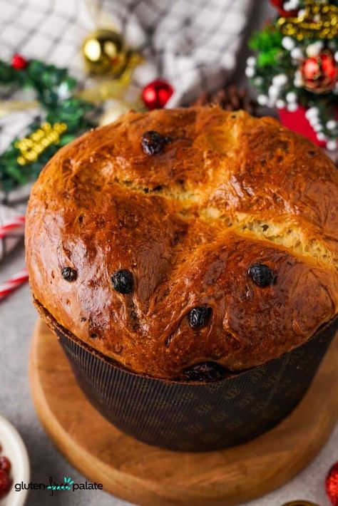 Gluten-Free Panettone Gluten Free Panatone Bread, Pannetone Recipe Gluten Free, Pannetone Recipe Sourdough, Gluten Free Sweet Bread, Gluten Free Panettone Recipe, Vegan Panettone, Gluten Free Panettone, Gluten Free Italian Recipes, Panettone Recipe