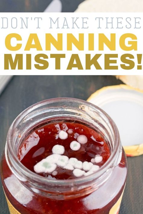 Easy Canning, Canning Fruit, Home Canning Recipes, Canning Vegetables, Canning Jam, Canning Food Preservation, Canned Food Storage, Canning Tips, Water Bath Canning