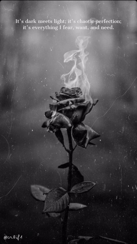 Rosé Dark Aesthetic, Rose On Fire, Burning Flowers, White Rose Tattoos, Burning Rose, Red Roses Wallpaper, Dark Black Wallpaper, So Done, Beautiful Night Images