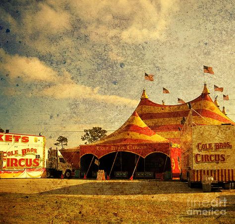 Circus Tents, Old Circus, Circus Aesthetic, Circus Wedding, Dark Circus, Circus Circus, Night Circus, Circus Tent, Circus Art