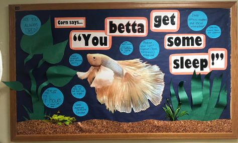 Fish tank/ betta fish themed RA board with information and resources for sleeping well. Fish Themed Decorations, Fish Tank Betta, Ra Themes, Get Some Sleep, Ra Boards, Ra Bulletins, Ra Bulletin Boards, Sleeping Well, Door Decs