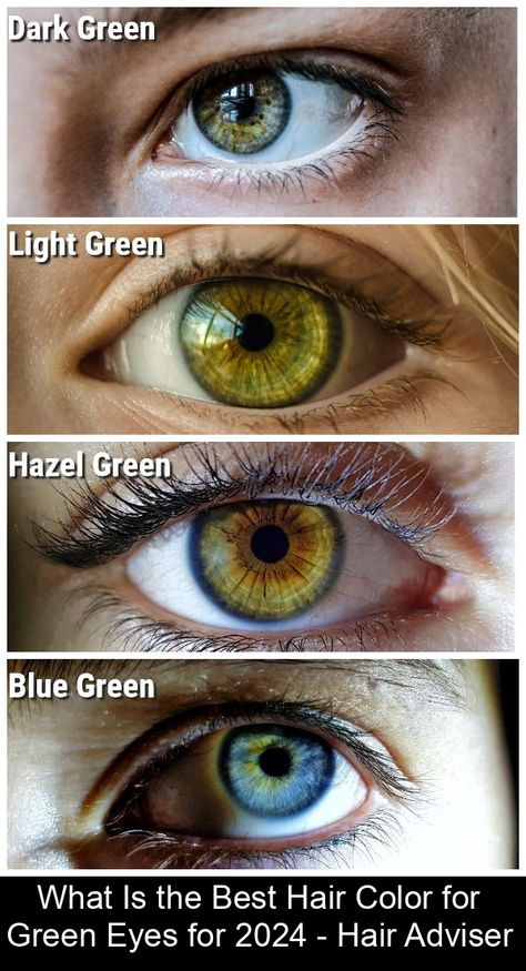 Despite the assumption that only 2% of people have green eyes and green is considered a rare eye color, a lot of our readers ask what hair color is best for green eyes. What can we say? You should take your skin tone, base hair color, and several other factors into account. Continue reading below … Hair Color For Green Eyes, Base Hair Color, Pretty Eyes Color, Brunette Green Eyes, Brown Hairs, Rare Eye Colors, Face Inspiration, The Best Hair Color, Hair Colour For Green Eyes