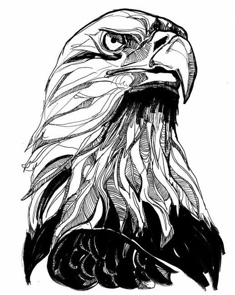 Eagle Ink Drawing, Eagle Sketch Tattoo, Eagle Inktober, Eagle Drawing Sketches, Eagle Art Draw, Drawing Of Eagle, Eagle Drawings, Eagle Sketch, Eagle Illustration