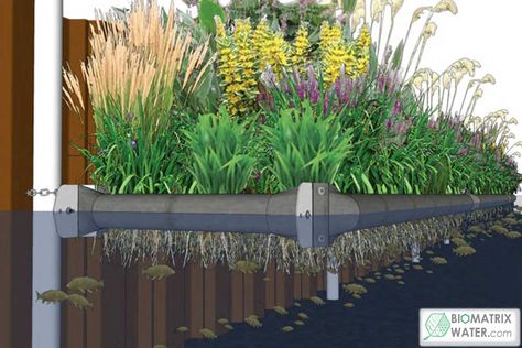 Floating Wetland, Ecology Design, Conservation Of Natural Resources, Eco Garden, Floating Garden, Garden Flower Beds, Pond Water Features, Floating Plants, Natural Swimming Pools