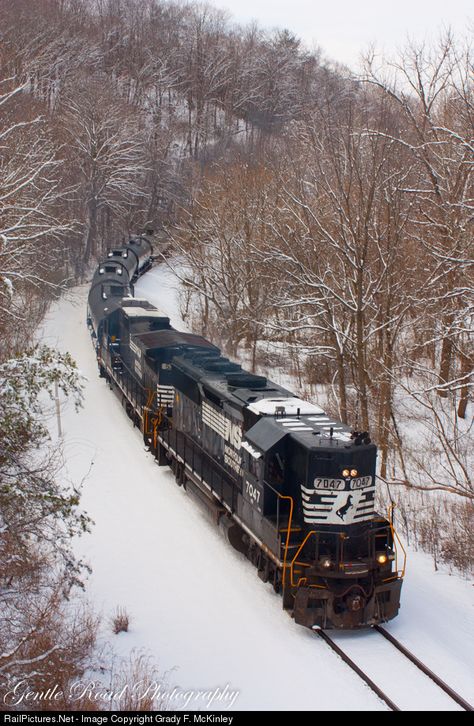 Frieght Trains, Train Tracks Photography, Southern Trains, Railroad Art, Scenic Railroads, Railroad Pictures, Rail Transport, Southern Railways, Norfolk Southern